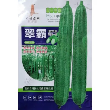 翠霸丝瓜种子早熟瓜型头尾均匀瓜色绿挂持果多