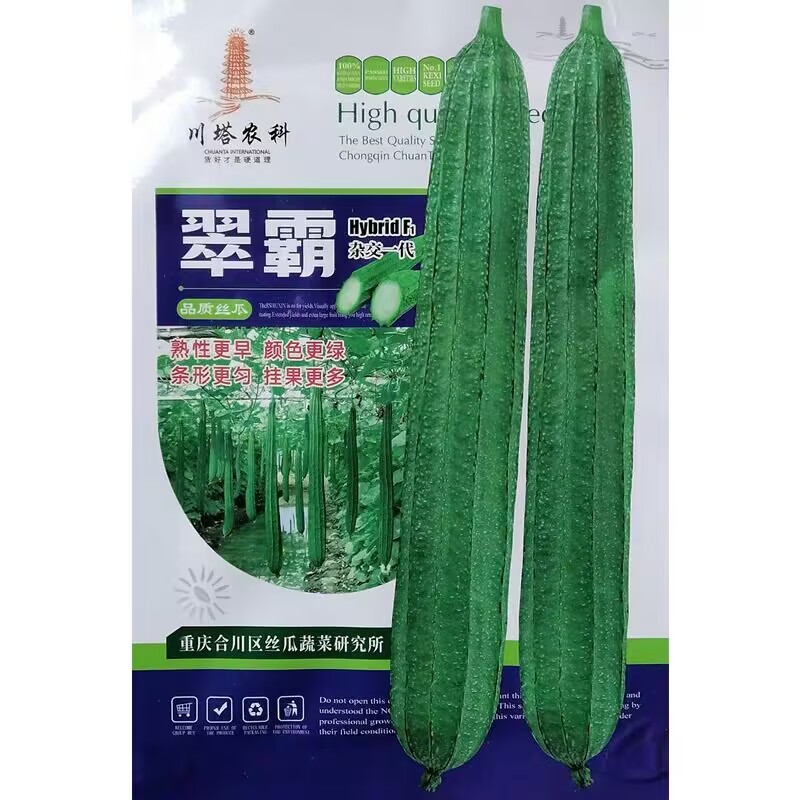 翠霸丝瓜种子早熟瓜型头尾均匀瓜色绿挂持果多