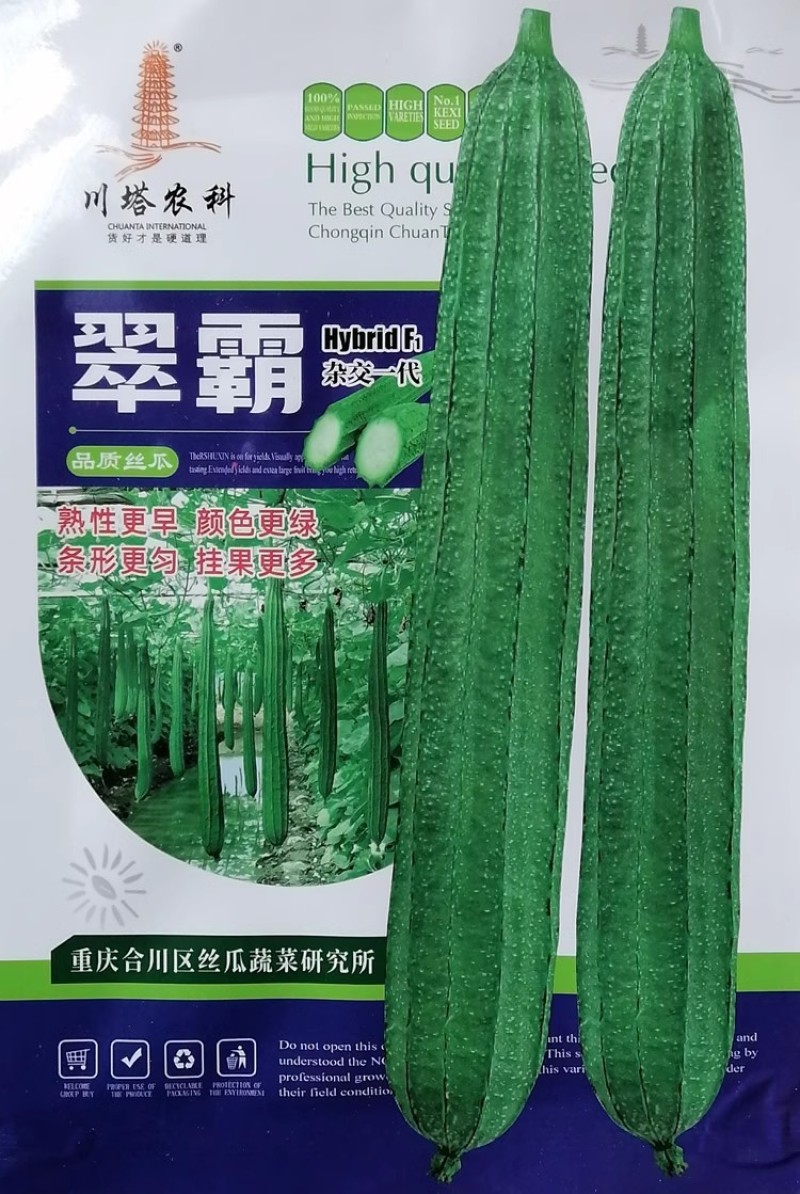 翠霸丝瓜种子早熟瓜型头尾均匀瓜色绿挂持果多