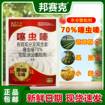 山东邦赛克施保立安70%噻虫嗪稻飞虱蚜虫蓟马农用杀虫剂