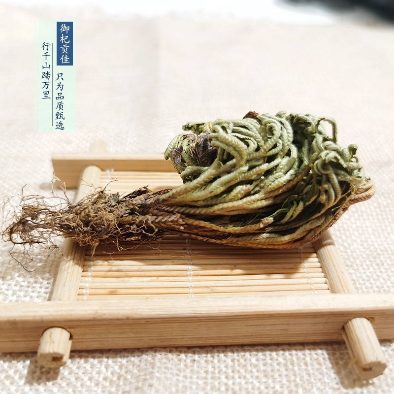 中药材特级野生石上柏深绿卷柏梭罗草地梭罗薄叶龙鳞草