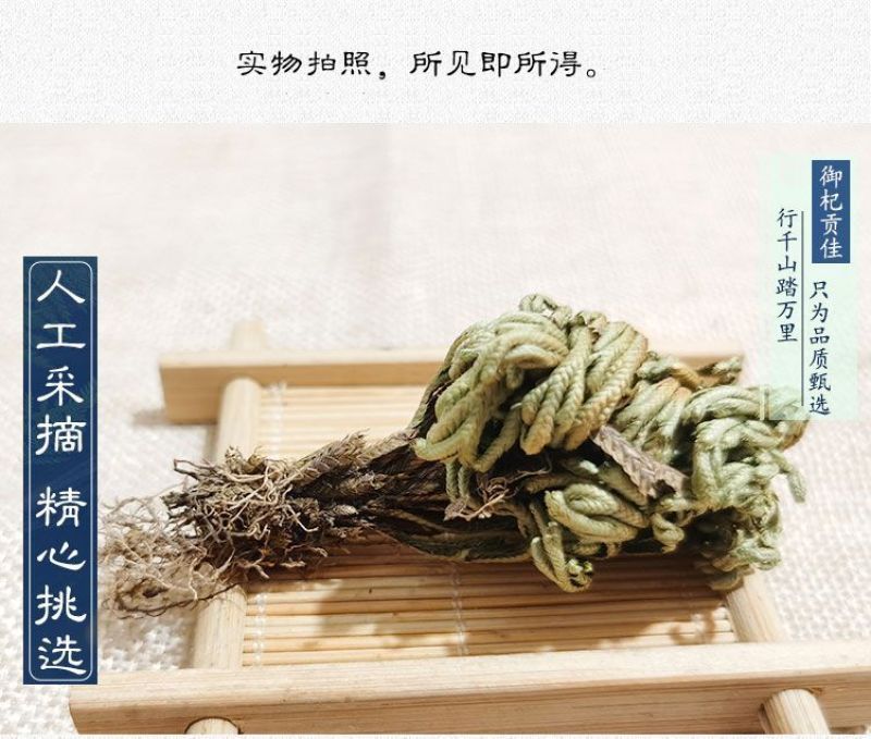 中药材特级野生石上柏深绿卷柏梭罗草地梭罗薄叶龙鳞草