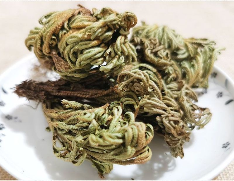 中药材特级野生石上柏深绿卷柏梭罗草地梭罗薄叶龙鳞草