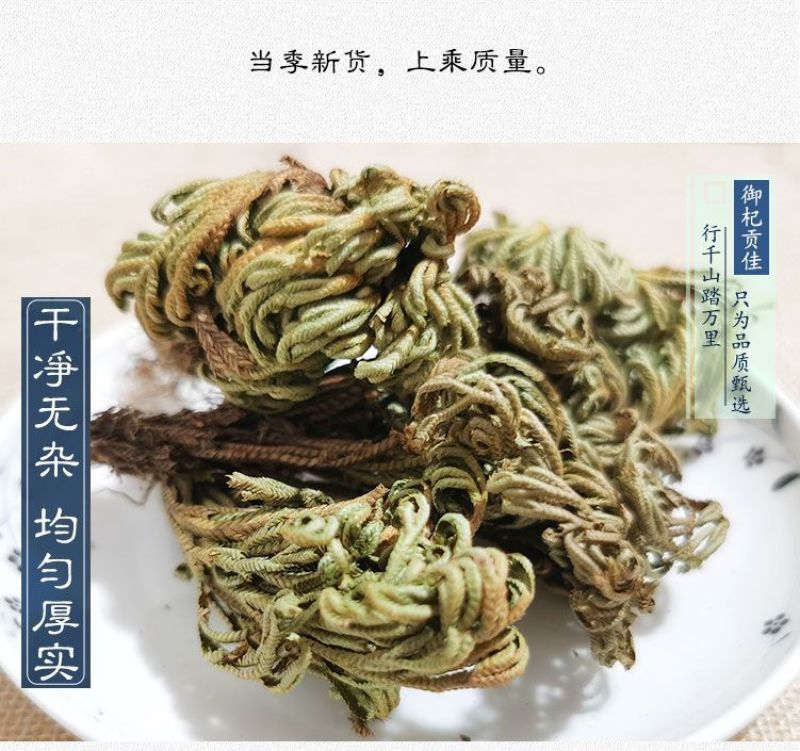 中药材特级野生石上柏深绿卷柏梭罗草地梭罗薄叶龙鳞草