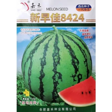 新早佳8424西瓜种子单瓜6-7公斤早熟不易裂果