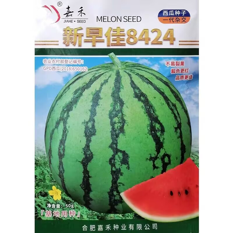 新早佳8424西瓜种子单瓜6-7公斤早熟不易裂果