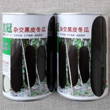 黑冠杂交黑皮冬瓜种子爬地吊瓜两用型耐热耐寒性好