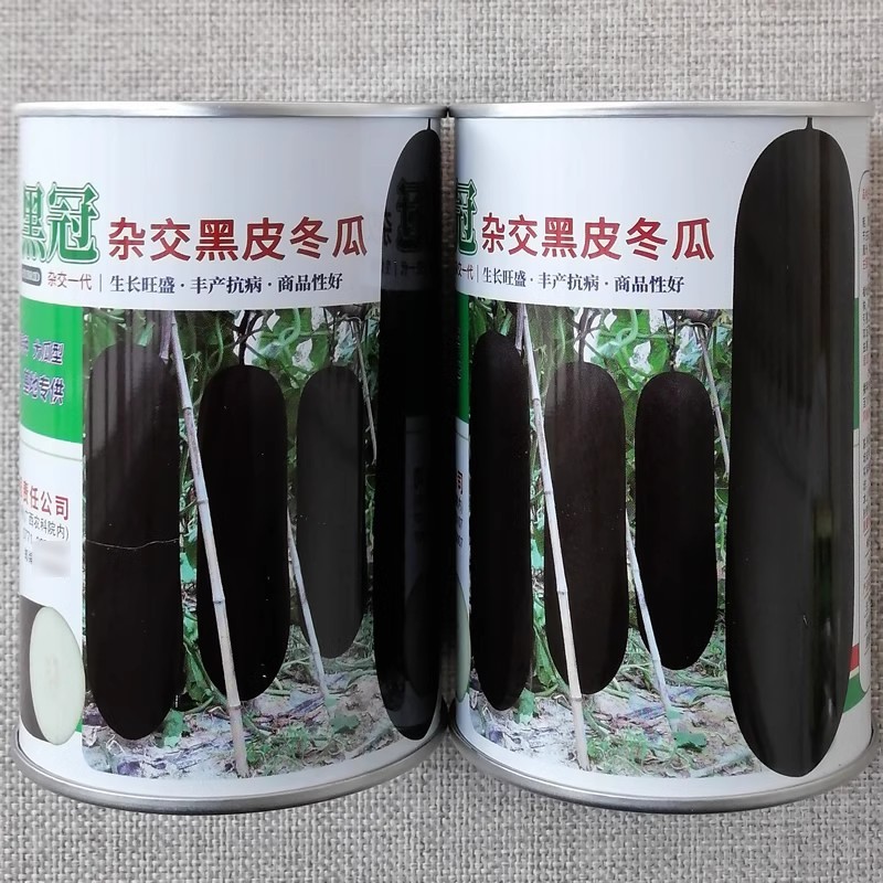 黑冠杂交黑皮冬瓜种子爬地吊瓜两用型耐热耐寒性好