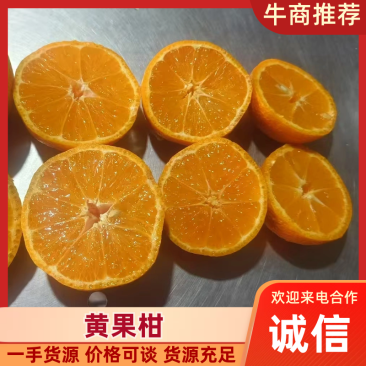 精品推荐优选黄果柑四川汉源产地直发一手货源