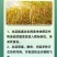 山东邦赛克10%吡虫啉水稻稻飞虱农用快速杀虫剂袋装批发