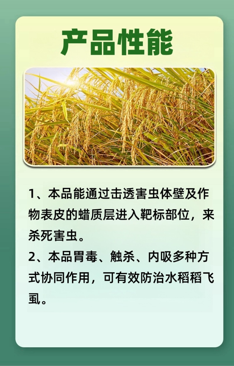 山东邦赛克10%吡虫啉水稻稻飞虱农用快速杀虫剂袋装批发