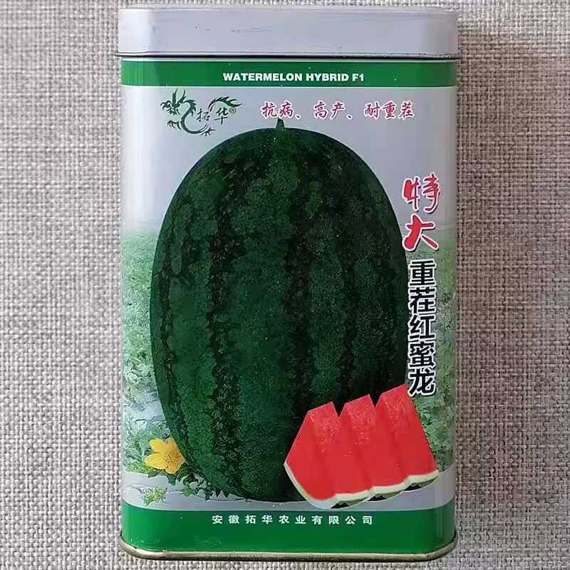 特大重茬红蜜龙西瓜种子50克罐装抗病耐重茬耐贮耐运