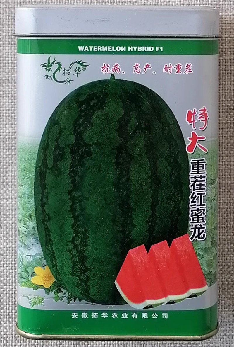 特大重茬红蜜龙西瓜种子50克罐装抗病耐重茬耐贮耐运
