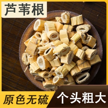 正宗野生芦根500g包邮中药材精选新货干芦苇根可搭白茅根