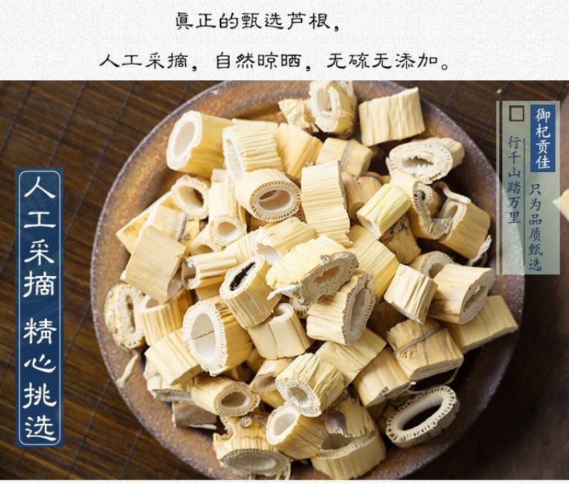 正宗野生芦根500g包邮中药材精选新货干芦苇根可搭白茅根