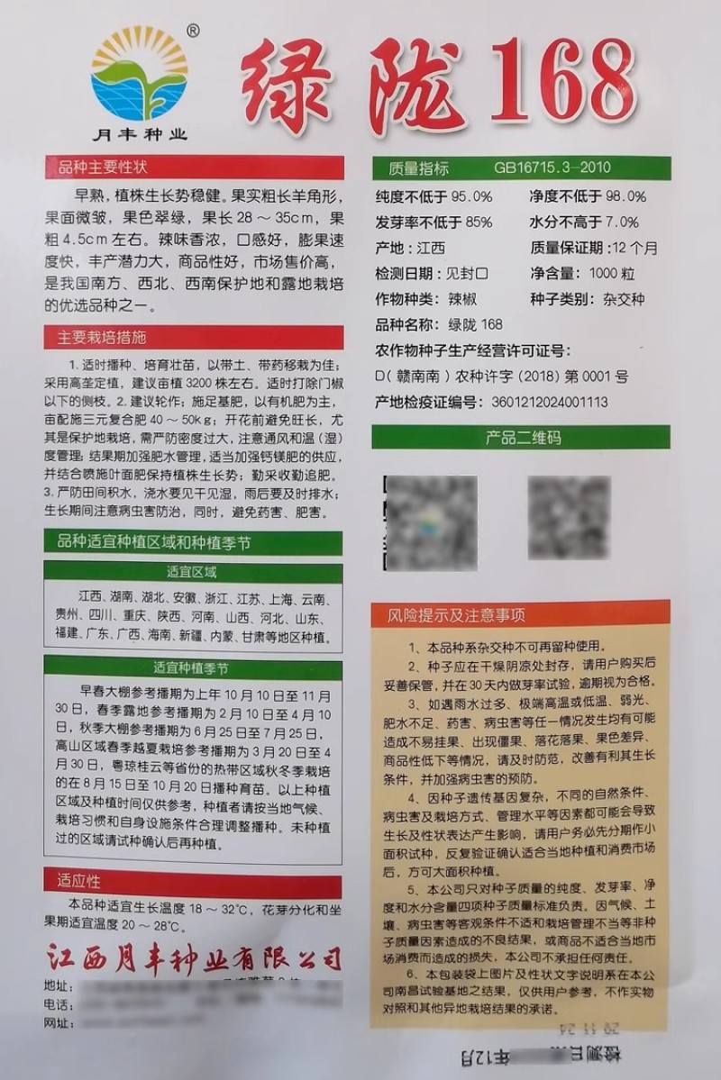 绿陇168陇椒种子早熟果面微皱螺丝椒种子辣味香浓