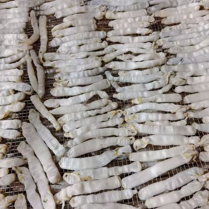 【厂家直销】沙虫干/一手货源/现烘现发/0添加/欢迎咨询