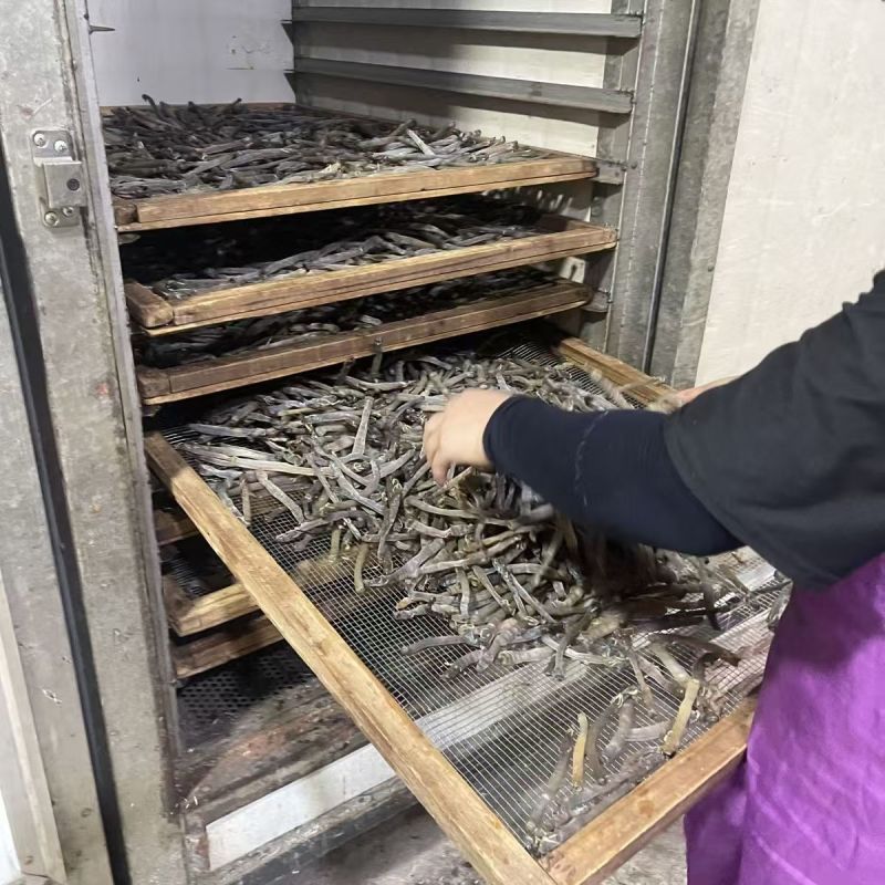 【厂家直销】沙虫干/一手货源/现烘现发/0添加/欢迎咨询