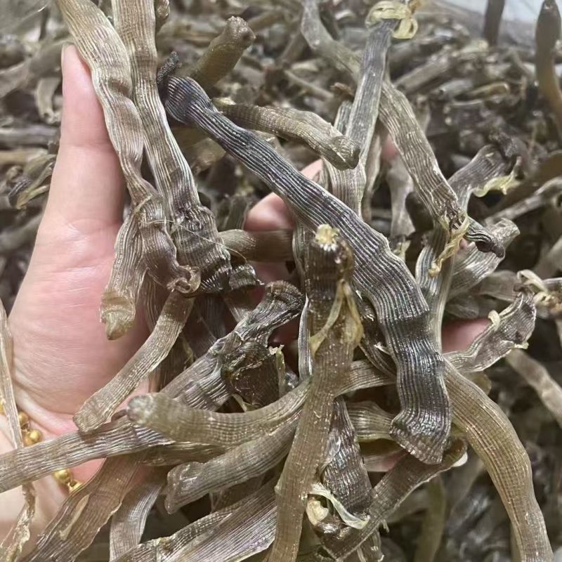【厂家直销】沙虫干/一手货源/现烘现发/0添加/欢迎咨询