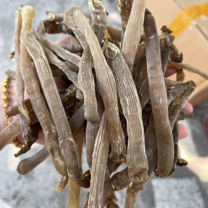 【厂家直销】沙虫干/一手货源/现烘现发/0添加/欢迎咨询