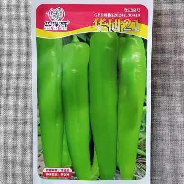华研21牛角椒种子黄绿皮椒果顺直光滑大棚露地种植