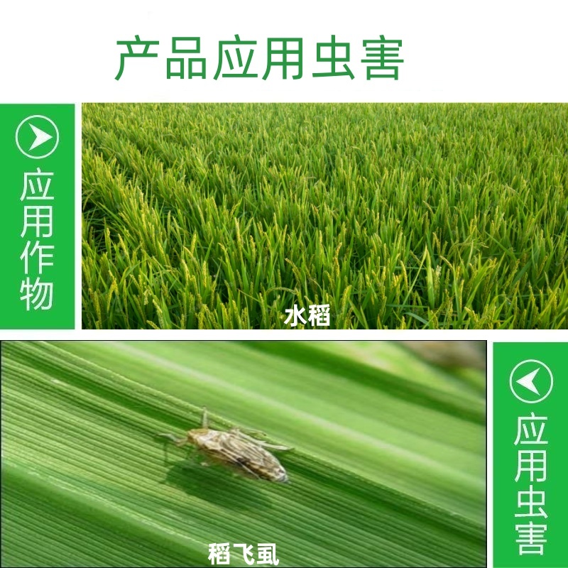 山东邦赛克80%含量烯啶·吡蚜酮水稻稻飞虱农用快速杀虫剂