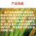 山东邦赛克80%含量烯啶·吡蚜酮水稻稻飞虱农用快速杀虫剂