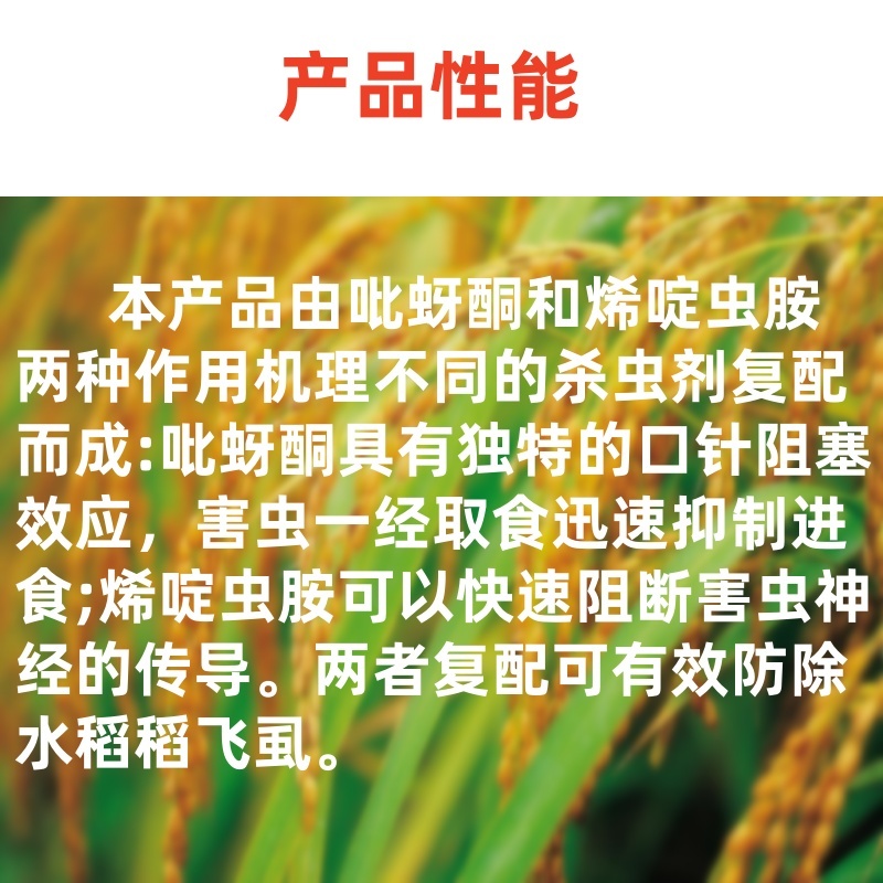 山东邦赛克80%含量烯啶·吡蚜酮水稻稻飞虱农用快速杀虫剂