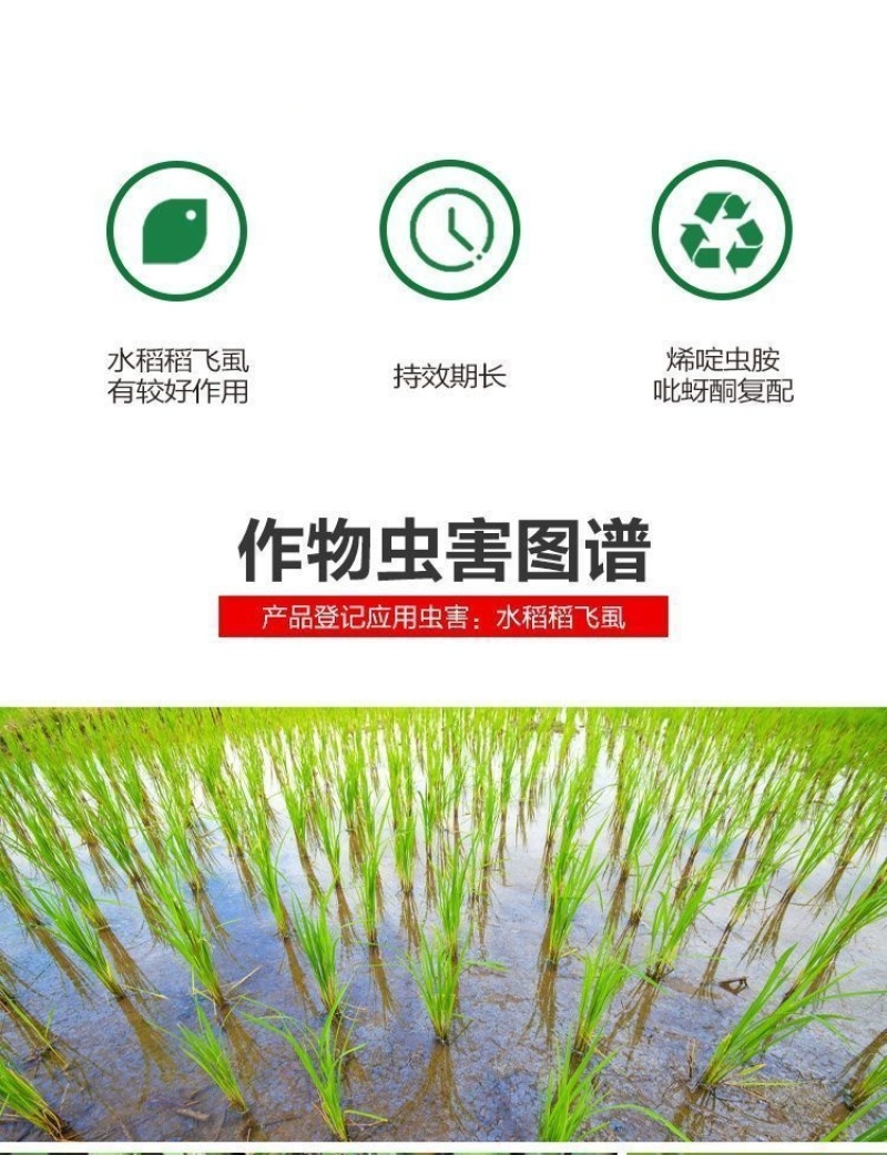 山东邦赛克80%含量烯啶·吡蚜酮水稻稻飞虱农用快速杀虫剂