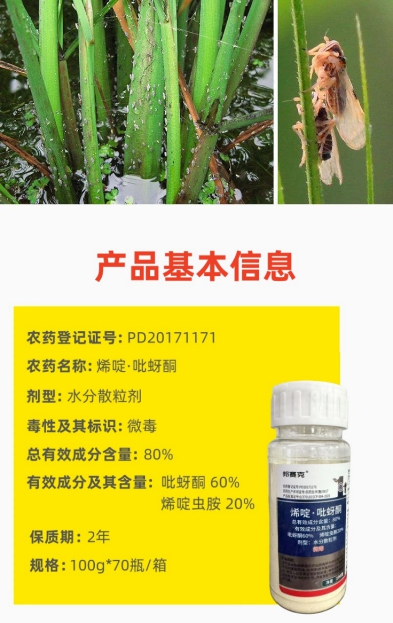 山东邦赛克80%含量烯啶·吡蚜酮水稻稻飞虱农用快速杀虫剂