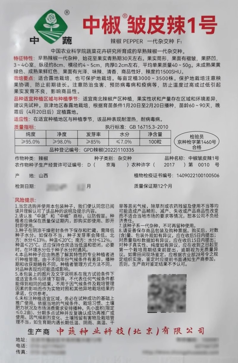 中椒皱皮辣1号薄皮辣1号辣椒种子味辣清香皱皮早熟杂交辣椒