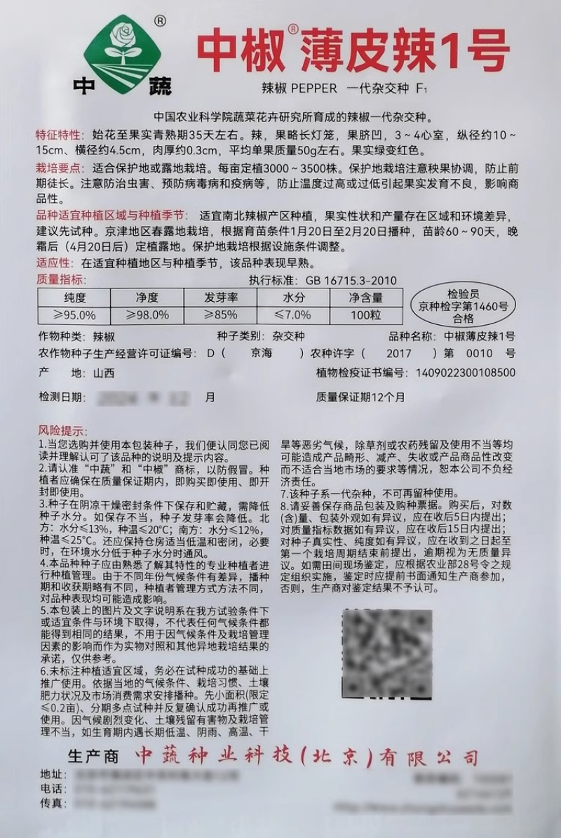 中椒皱皮辣1号薄皮辣1号辣椒种子味辣清香皱皮早熟杂交辣椒