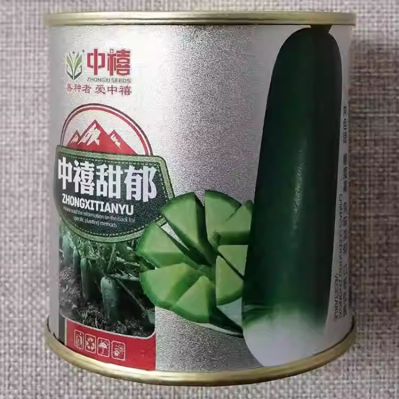 中禧甜郁水果萝卜种子肉色绿糖度高风味浓郁