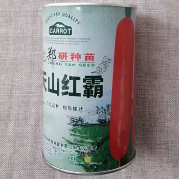 天山红霸胡萝卜种子三红胡萝卜种子口感脆甜皮色光亮