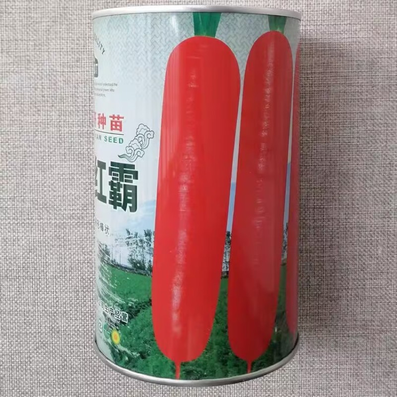 天山红霸胡萝卜种子三红胡萝卜种子口感脆甜皮色光亮