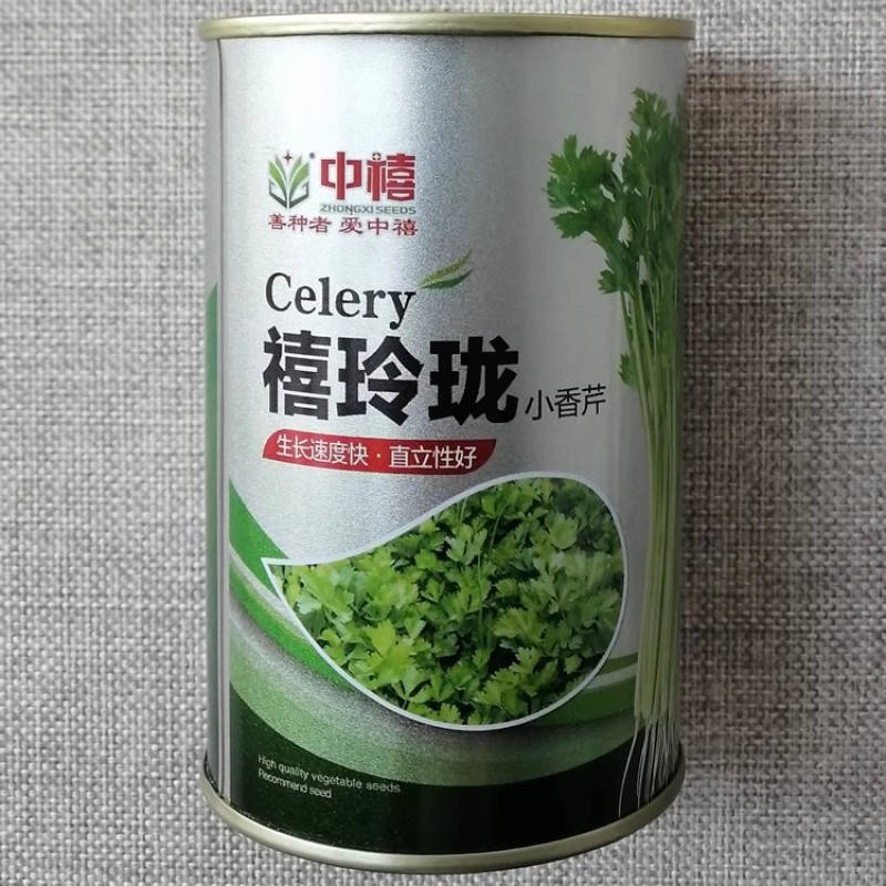 禧玲珑四季小香芹种子生长速度快直立性好早熟香脆嫩