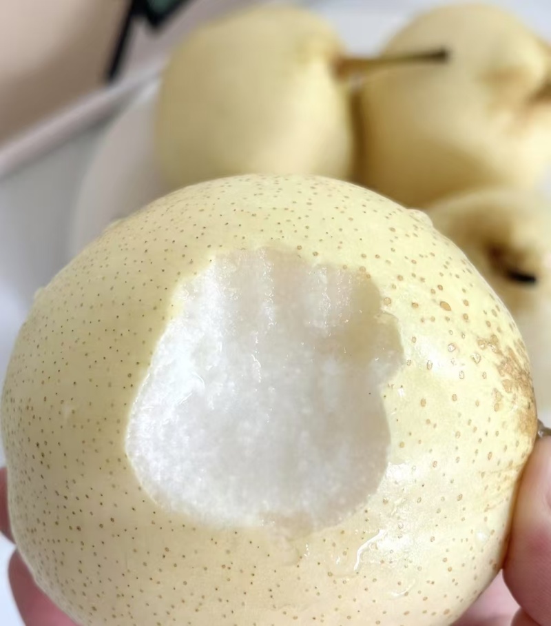 【大量上市】河北鸭梨产地直发一手货源可视频看货