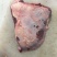 牛大脸肉生肉厂家直发保质保量供货