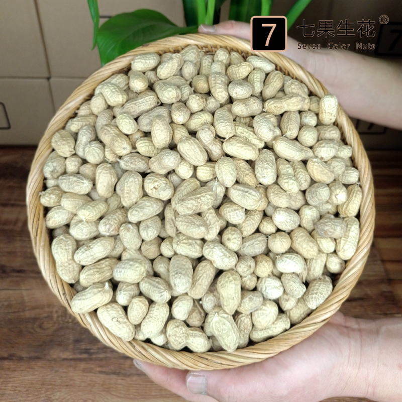 大白沙花生·24年东北生态种植手工精选天然晒干新货