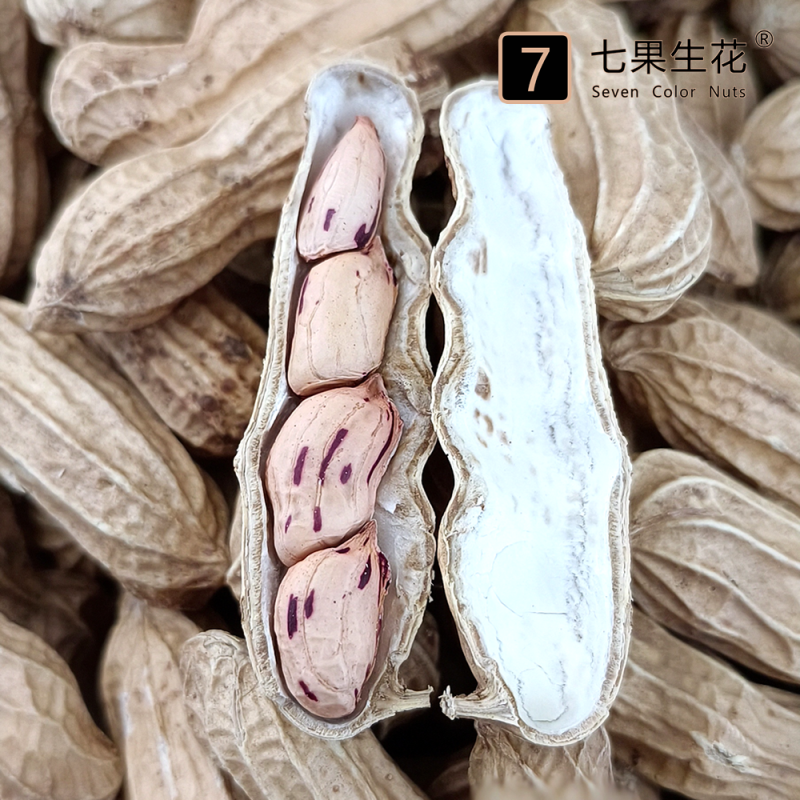 云南七彩花生·24年东北生态种植手工精选天然晒干新货