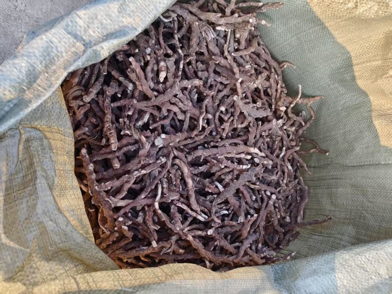 【推荐】石菖蒲干货现货直发可视频看货品质保证