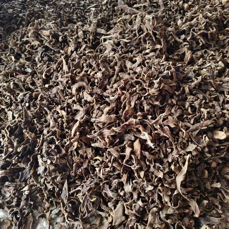 【今日推荐】骨碎补干货现货直发品质保证可视频看货