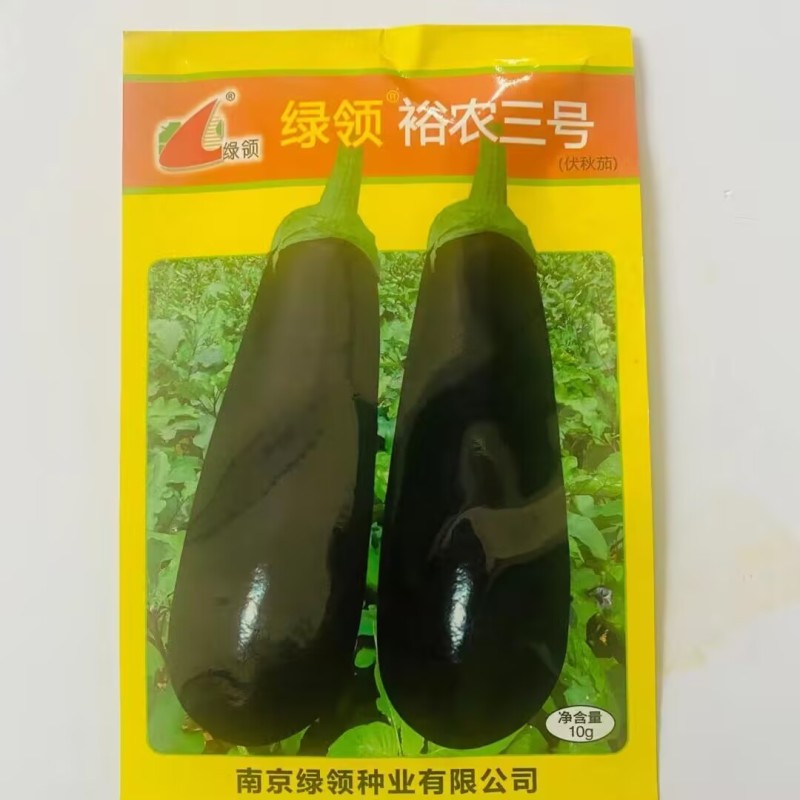 绿领裕农三号茄子种子伏秋茄果长粗棒形紫黑色茄子种籽