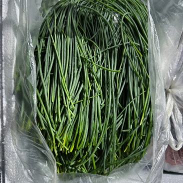 沙葱，产地直发，价格优惠，诚信经营