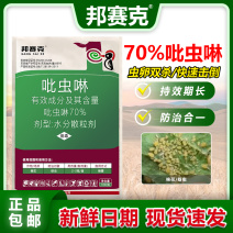 山东赛邦克70%吡虫啉农用棉花田快速除蚜虫农药杀虫剂批发