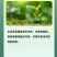 山东赛邦克70%吡虫啉农用棉花田快速除蚜虫农药杀虫剂批发