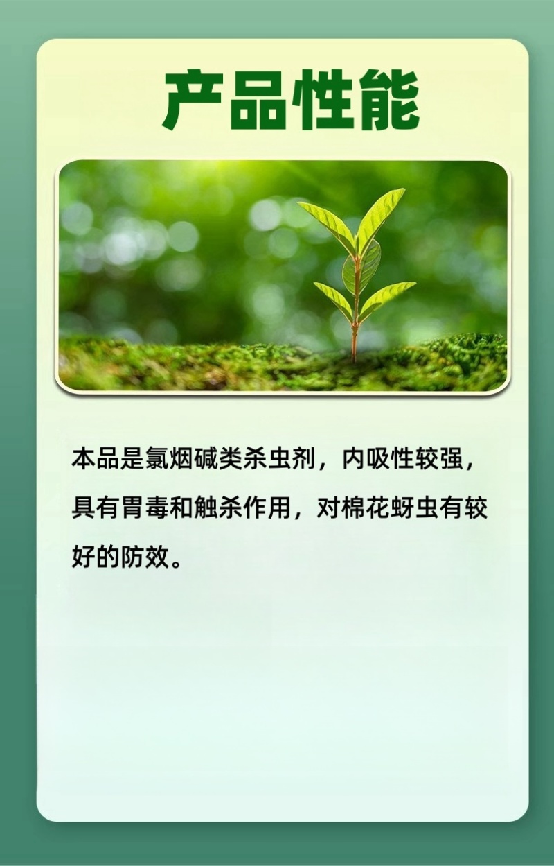 山东赛邦克70%吡虫啉农用棉花田快速除蚜虫农药杀虫剂批发