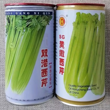 黄嫩西芹种子叶柄脆嫩黄色绿抗热耐寒生长速度快