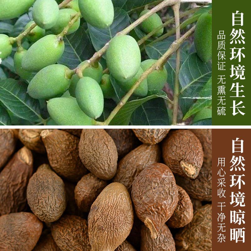 中药材特.级胖大海花草茶胖大海正宗胖大海