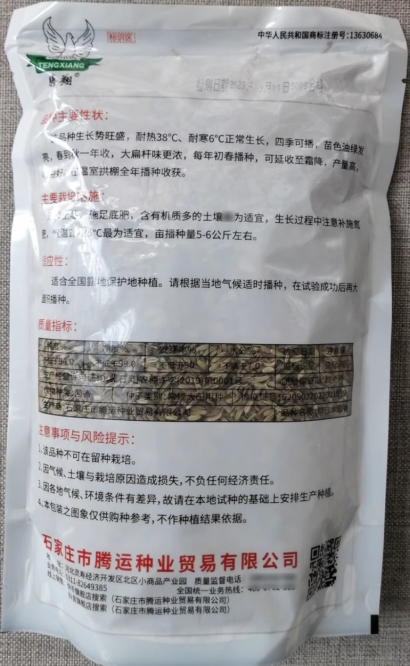 木茴香种子大扁桔茴香种子翠绿油亮四季采收